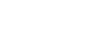 logo21
